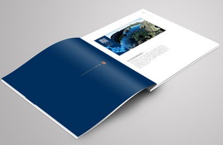 畫冊印刷設(shè)計的基本原則與圖文制作精要